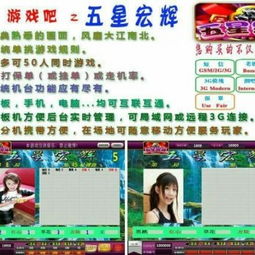 網絡游戲城 互聯網游戲生態的新維度與私服現象探析